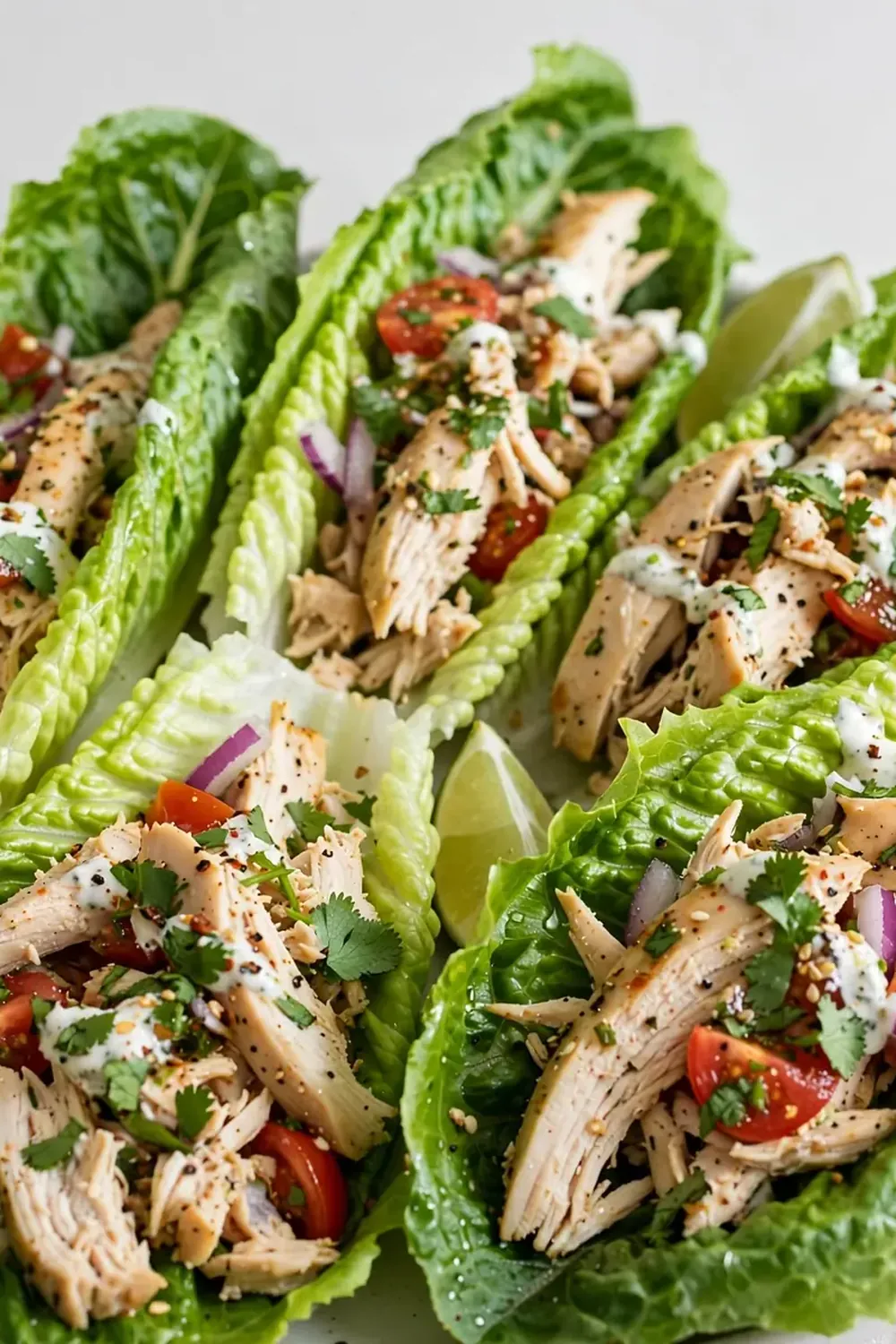 Low-Calorie High-Protein Chicken Lettuce Tacos